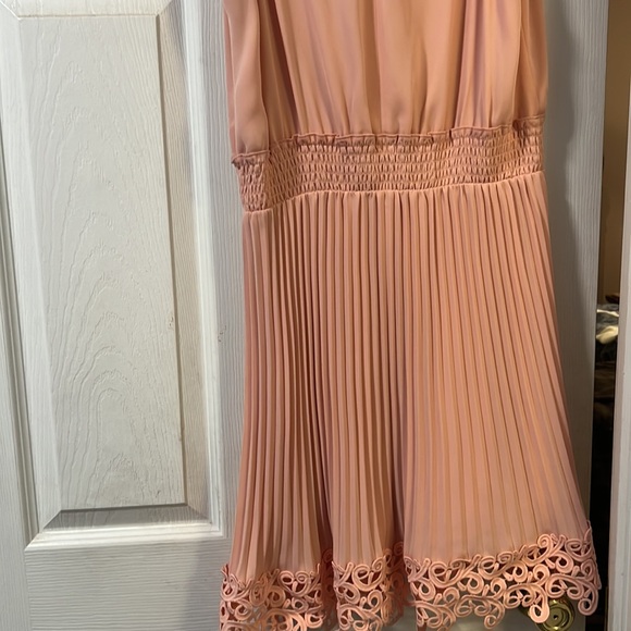 Express Dress - Picture 4 of 4